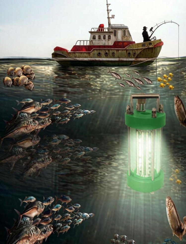 Green Light For Fishing