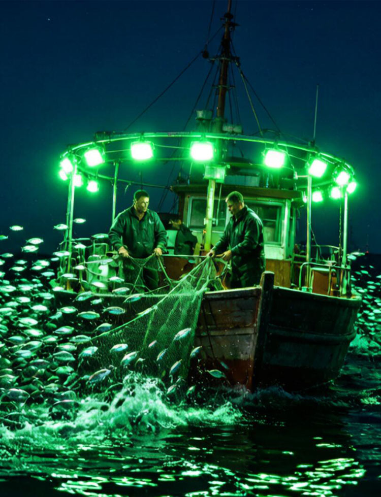 Green Fishing Light