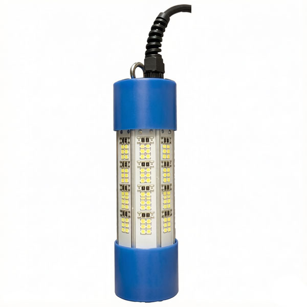 RE-UW-D4 DC input green light for fishing dock battery powered fishing lights fishing lights underwater under water fish lights